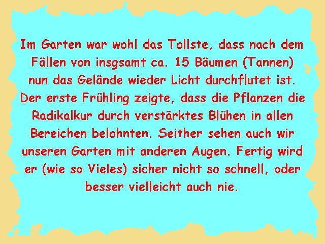 anfang_garten.jpg