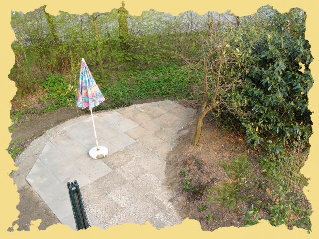 der_neue_grillplatz.jpg