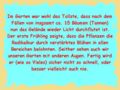 anfang_garten.jpg
